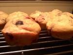 Berry Muffins