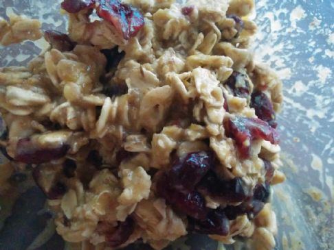 Oatmeal Craisin in Love with Protein