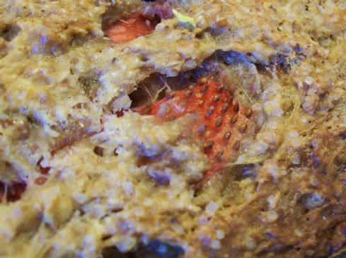 Rhubarb Compote Loaf with Fresh Strawberries