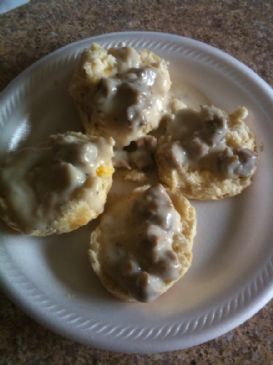 Biscuit And Gravy For One