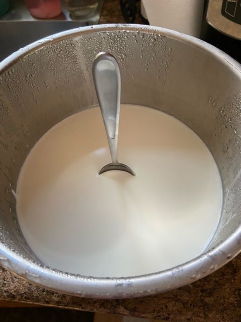 Instant pot vanilla Greek yogurt