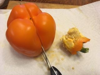 Bell Pepper Prep