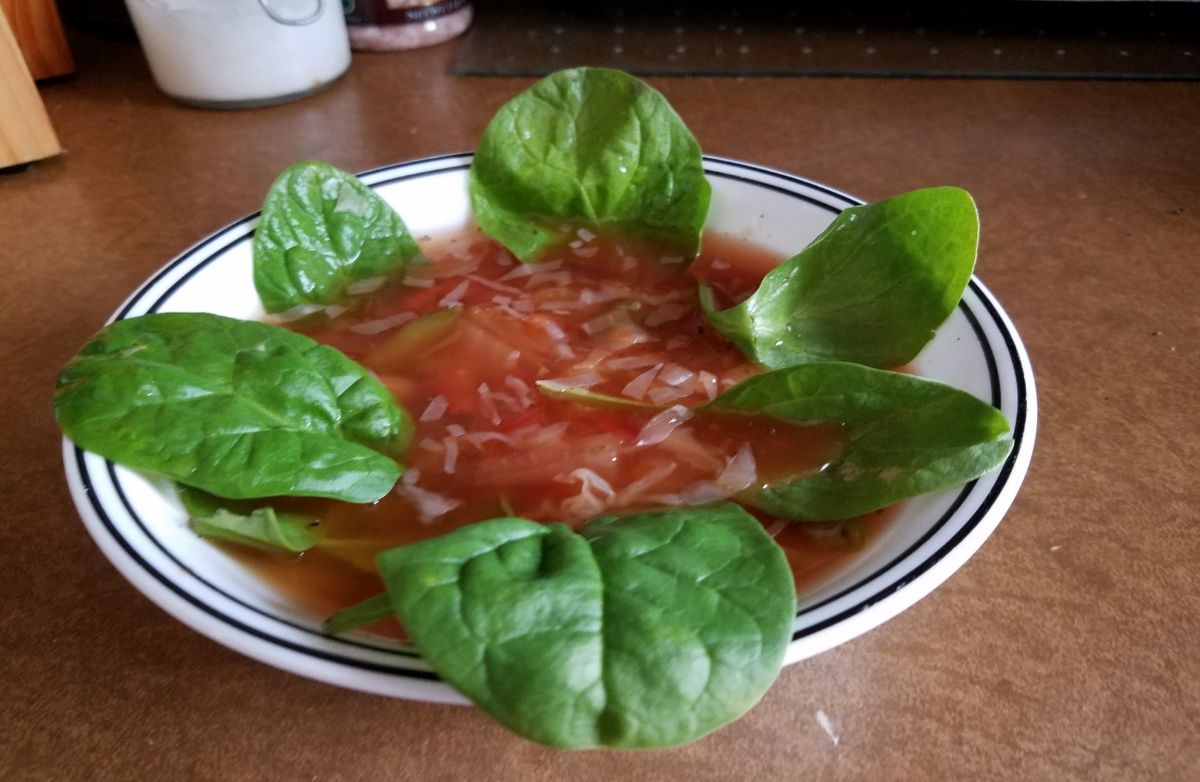 Low carb, cabbage, vegetable soup