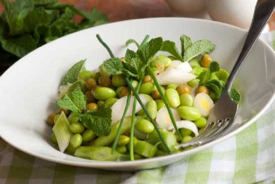 Fresh Fava Bean Salad