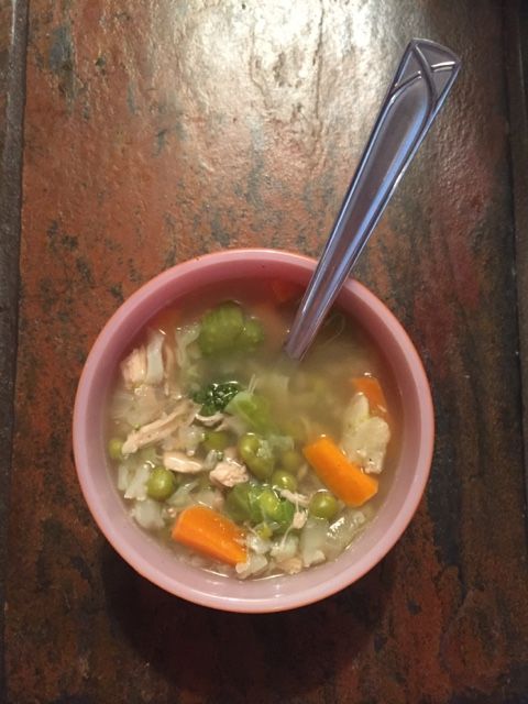 Vegetable chicken soup