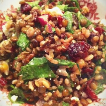 Lentil and Rice Salad w/ Spinach, Feta and Dried Cranberries