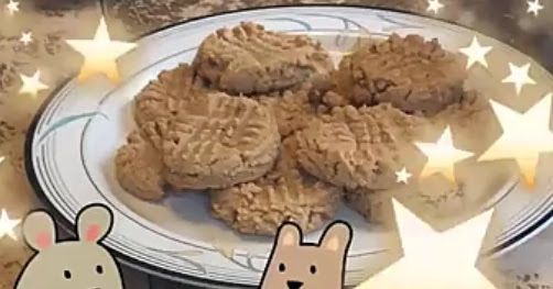 Keto Peanut Butter Cookie