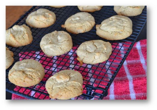 SCD Peanut Butter Cookies