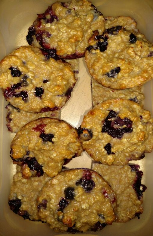 Blueberry Oatmeal Greek Yogurt Muffins