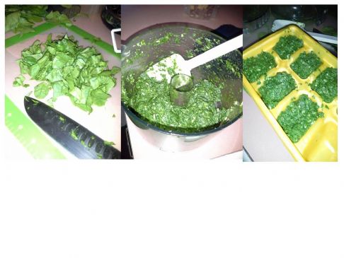 Jo's Spinach Pesto