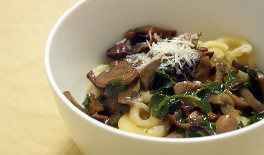 Rich No-Cream Wild Mushroom Pasta Sauce