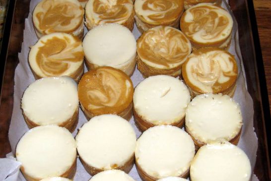 Marbled Pumpkin Honey Cheesecake Minis