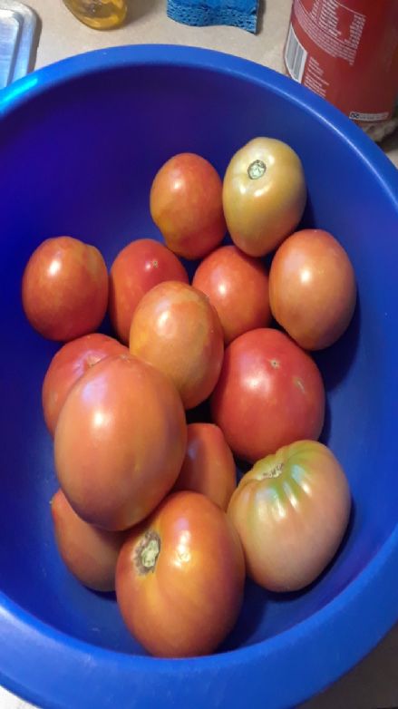 Homemade Stewed Tomatoes