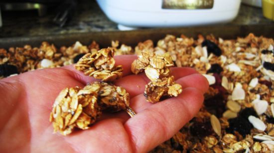 Fruit and Almond Crunchy Granola