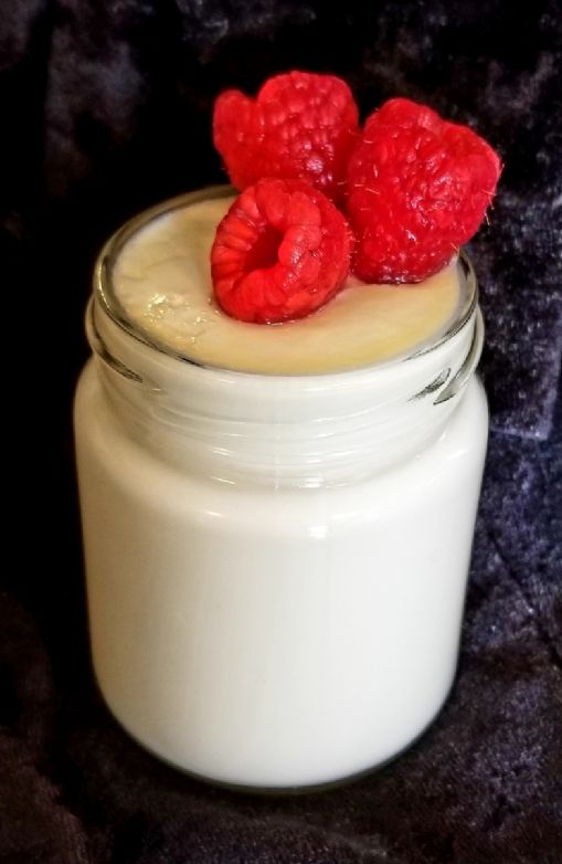 Bridget May's EASY Thick, Creamy Homemade Yogurt W/OUT A Yogurt Maker (one cup)
