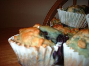 Blueberry Bran Yogurt Muffins