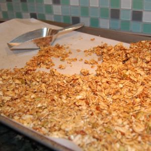 Granola Cereal (100 days of real food)