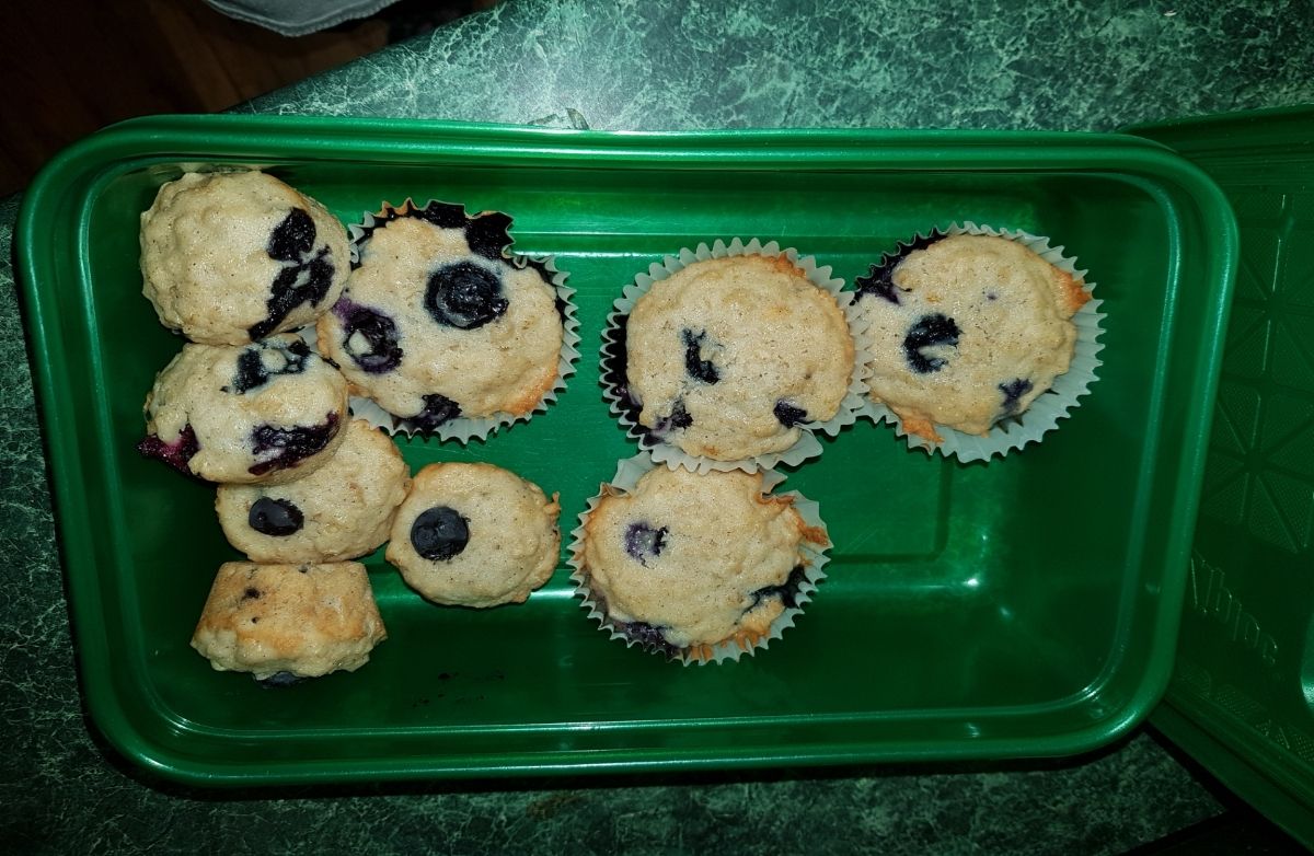 blueberry oat muffin