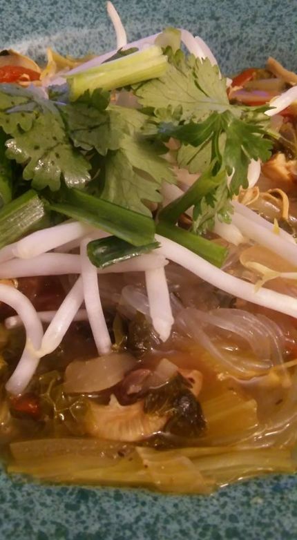 Faux Pho with chicken and veggies (Glass noodles optional)