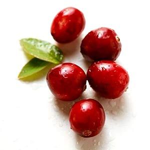 Cranberry Cleanser