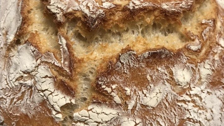 No Knead Sourdough