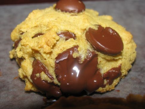 Pumpkin Pie Spice Dark Chocolate Chip Cookies