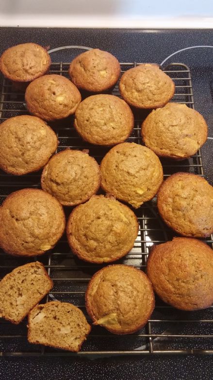 Banana Pumpkin Apple Protein Muffins