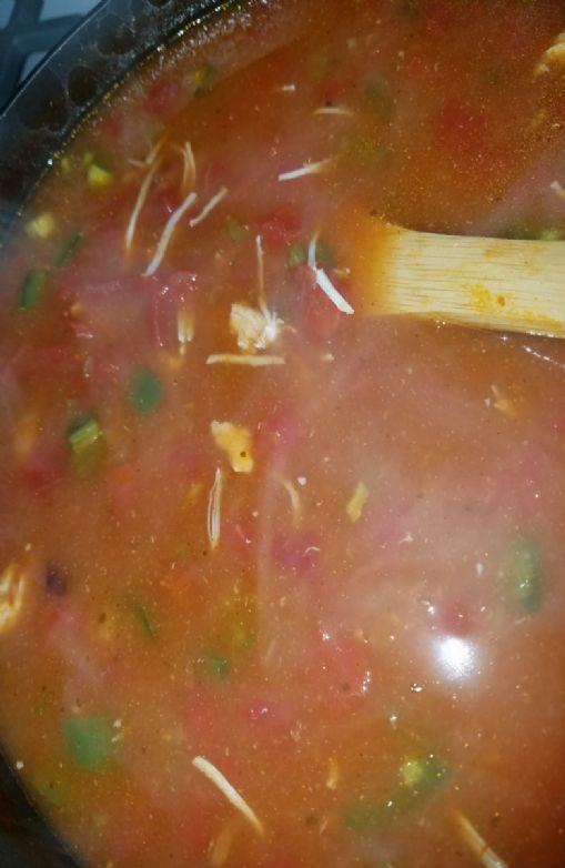 Loo's Simple Chicken Taco Soup