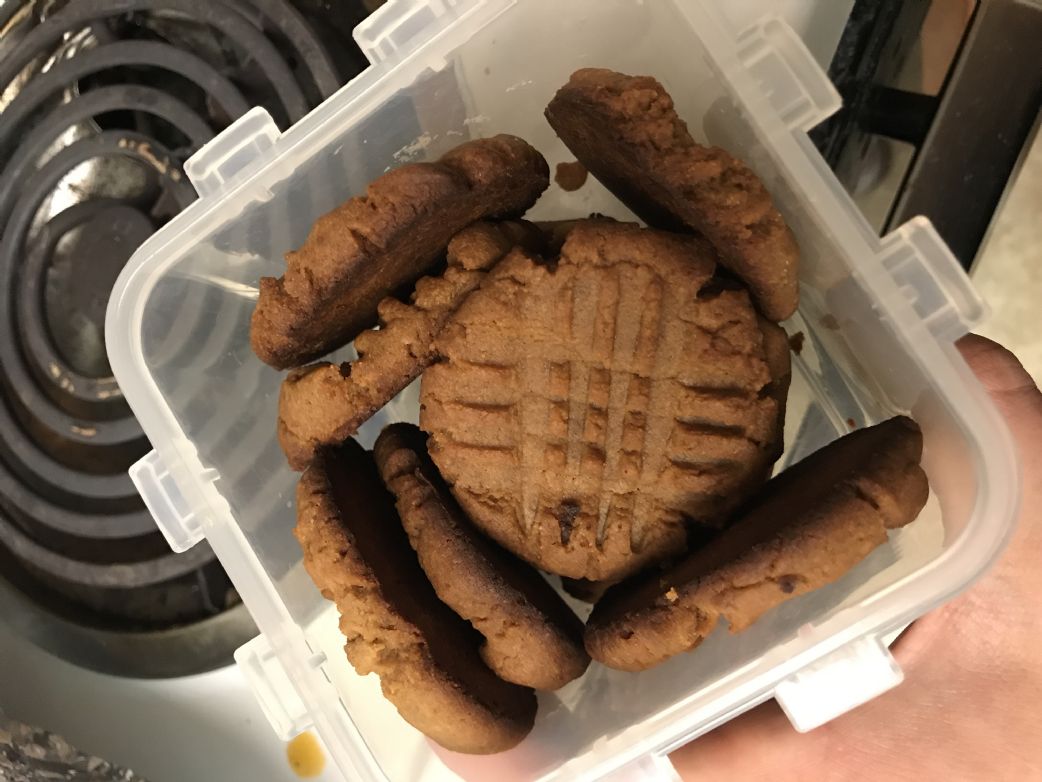 Low carb peanutbutter cookies