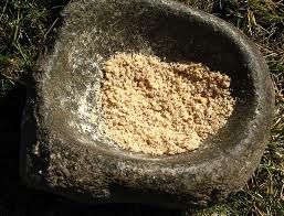 Acorn Meal ~ Traditional Native American Food
