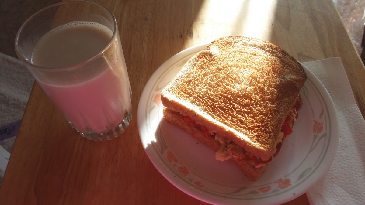 Toasted egg and vegetable scramble sandwich