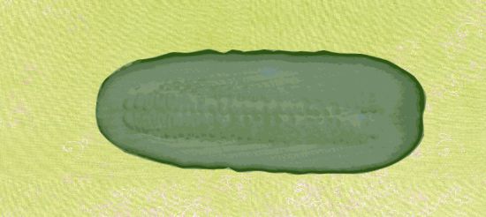 Cucumber Sub Sandwich