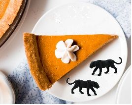 Holley's Healthy Homemade Pumpkin Pie