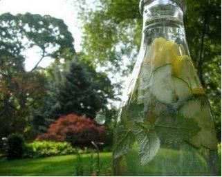 Lemon Mint Cucumber Spritzer