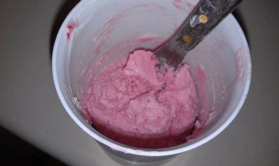 Homemade Frozen Yogurt (No ice cream maker!