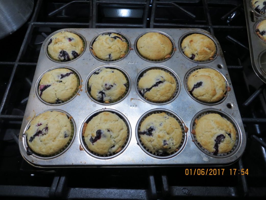 Gramma's Blueberry Muffins