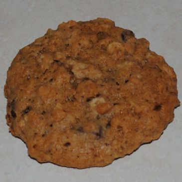 Lactation Cookies - Salted Caramel Chocolate Chip