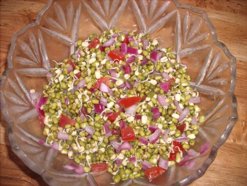 Sprouted Mung Bean Salad