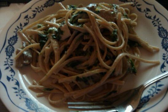 Chicken and Spinach in Garlic Alfredo sauce