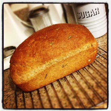 Whole Wheat Rosemary Bread