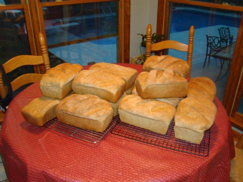 My Whole Wheat Bread