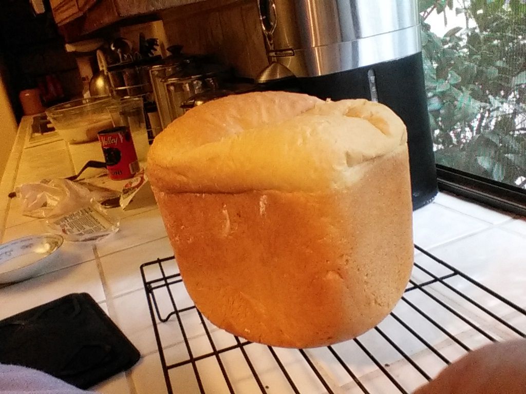 Cottage Cheese Bread Machine Bread