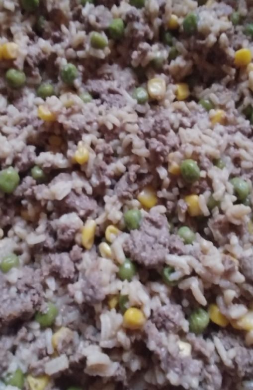 Venison and rice with peas and corn
