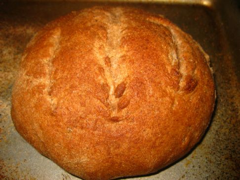 Beginner's Whole Wheat Bread