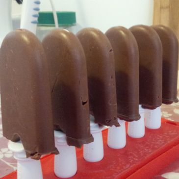 Homemade Fudgesicles