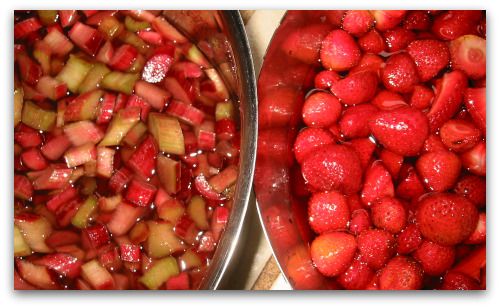 Strawberry Rhubarb Jam