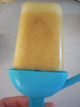 Pineapple-Cinnamon Frozen Fruity Pops