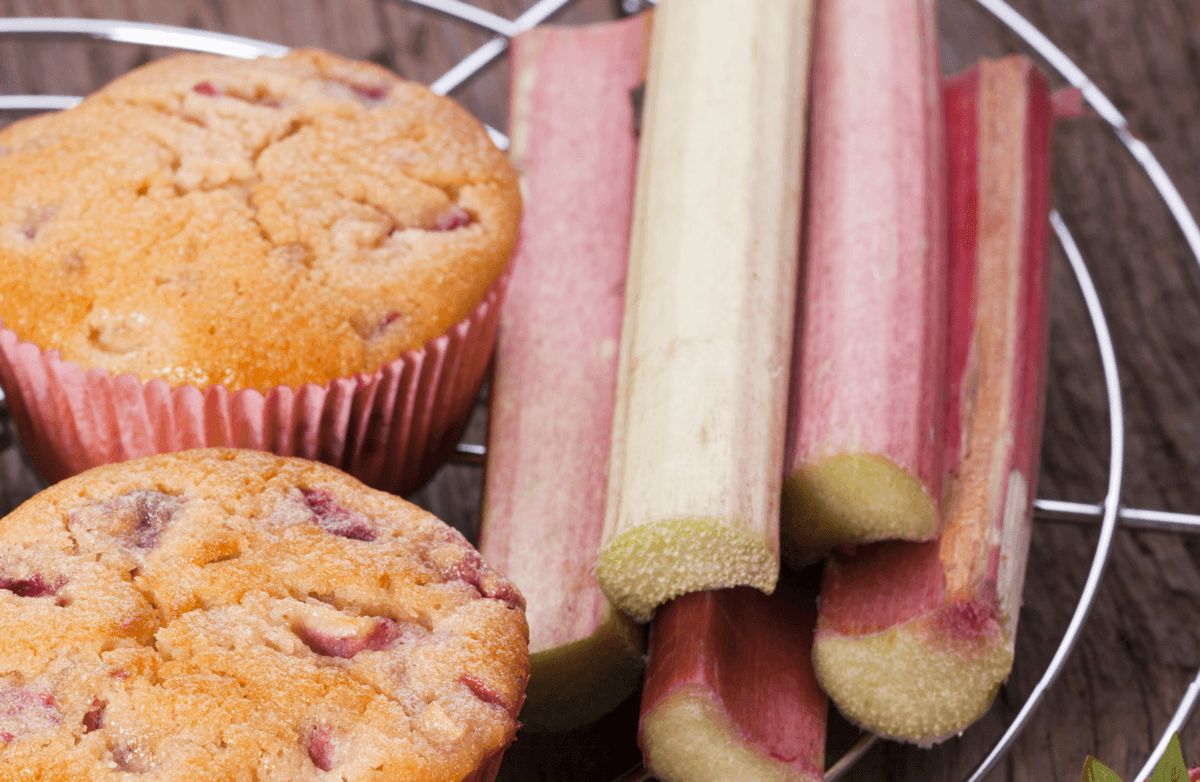 Honey - Rhubarb Muffins