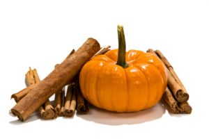 Travelnista's Pumpkin Spice Mix