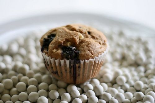 Blueberry Cottage Cheese Muffins